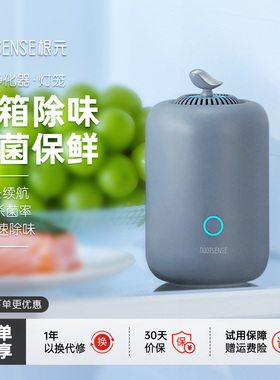 根元灯笼冰箱除味器除臭蛋去味净化臭氧消毒杀菌保鲜除味剂