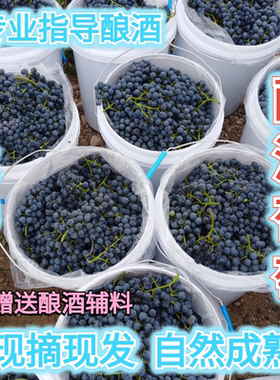 宁夏产区赤霞珠马瑟兰梅洛美乐