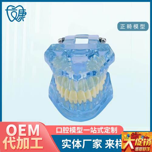 牙齿模型a病理修复可拆卸正畸口腔病理牙模型牙科医患活动沟通