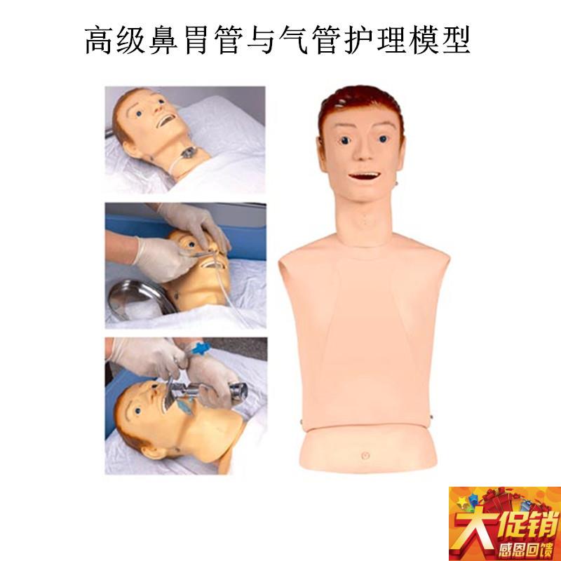 高级鼻胃管与气管护理模型 鼻胃管护理模型O 鼻饲模型 护理教学