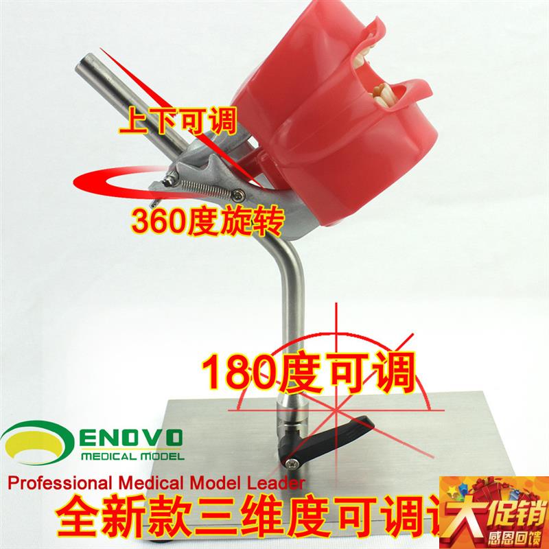 ENOVO正品口腔仿生头模系统牙科医F生培训制备仿真备牙齿教学模型