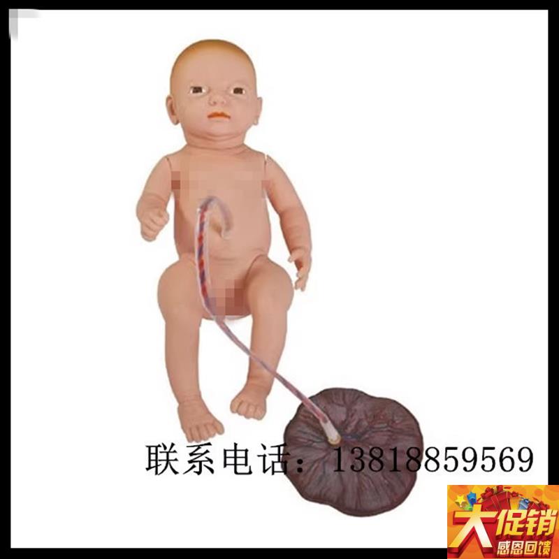 高级新生儿脐带胎j盘护理模型 妇产科训练模型 小孩模具 132