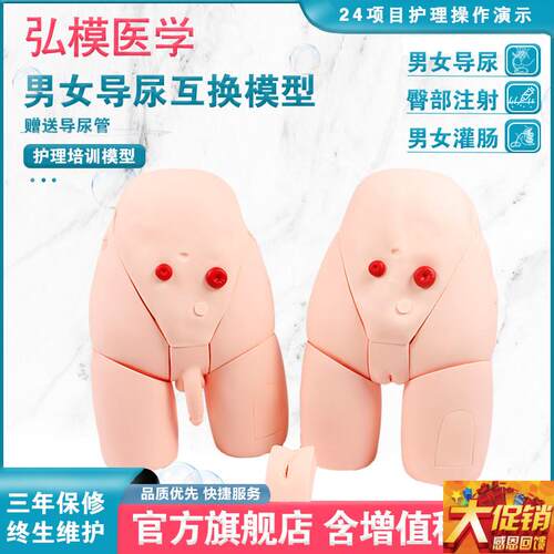 弘模灌肠及d导尿模型 男性内外生殖解剖模型男女导尿训练模型