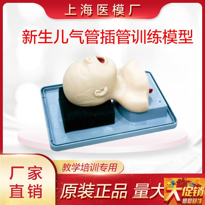 新生儿气管插管训练模q型 15/1型新生儿气管插管训练模型