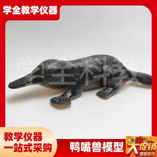 3237鸭嘴兽模型初高中生物教学演C示科教仪器动物模型pvc制作无味