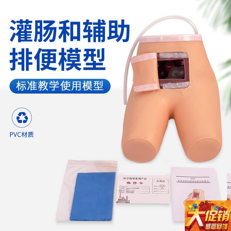 高级女性导尿训练模型导u尿术练习模型灌肠模型护理导尿教学模型