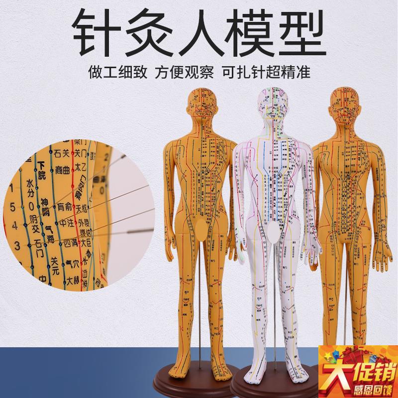 高清中医针灸g穴位人体模型经络图人体穴位模型人全身小人按摩教