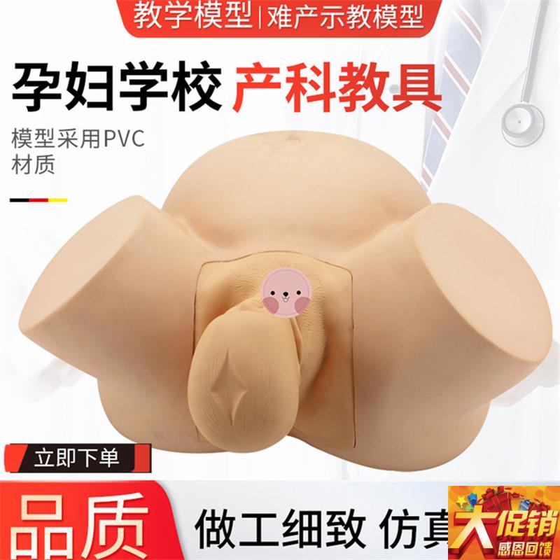 孕妇难产示教模型分娩p教学模具难产助产示教训练生产分娩演示肩