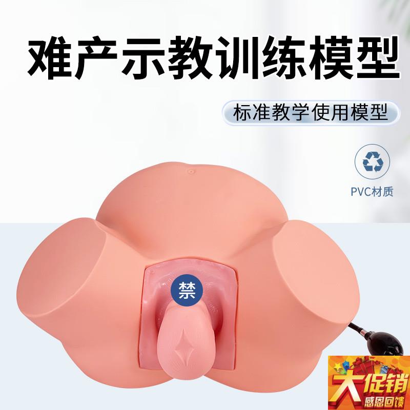 高级难产示教训练模型分娩示教模型 妇产科难产助U产分娩教学模型
