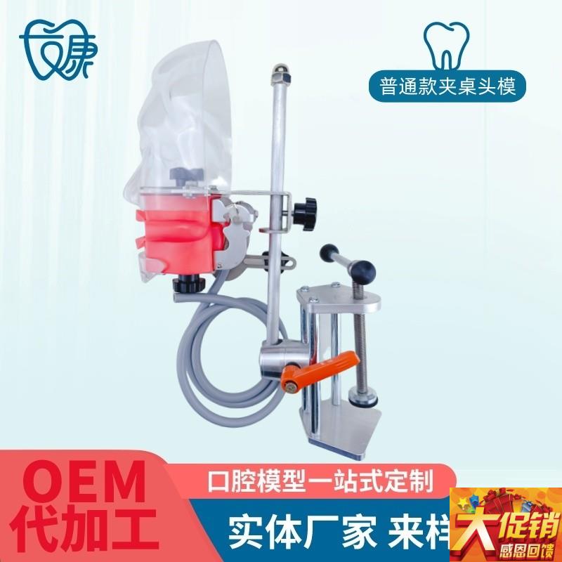 牙科简易仿真头模树脂可拆卸牙齿备牙正畸修复仿R头模口腔教学模
