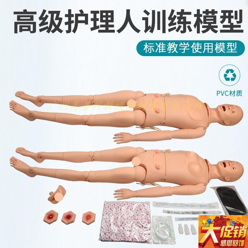 高级全功能护理人体模型r男女导尿模型带内脏褥疮口鼻插管吸痰洗