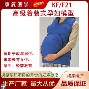 高级着装 孕妇模型穿戴体验怀孕孕妇E妊娠模型F21四步触诊法护理 式