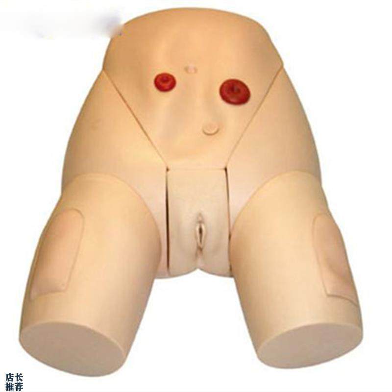 高级医学导尿器官l实习练习模型女性生殖器导尿培训模型训练模具