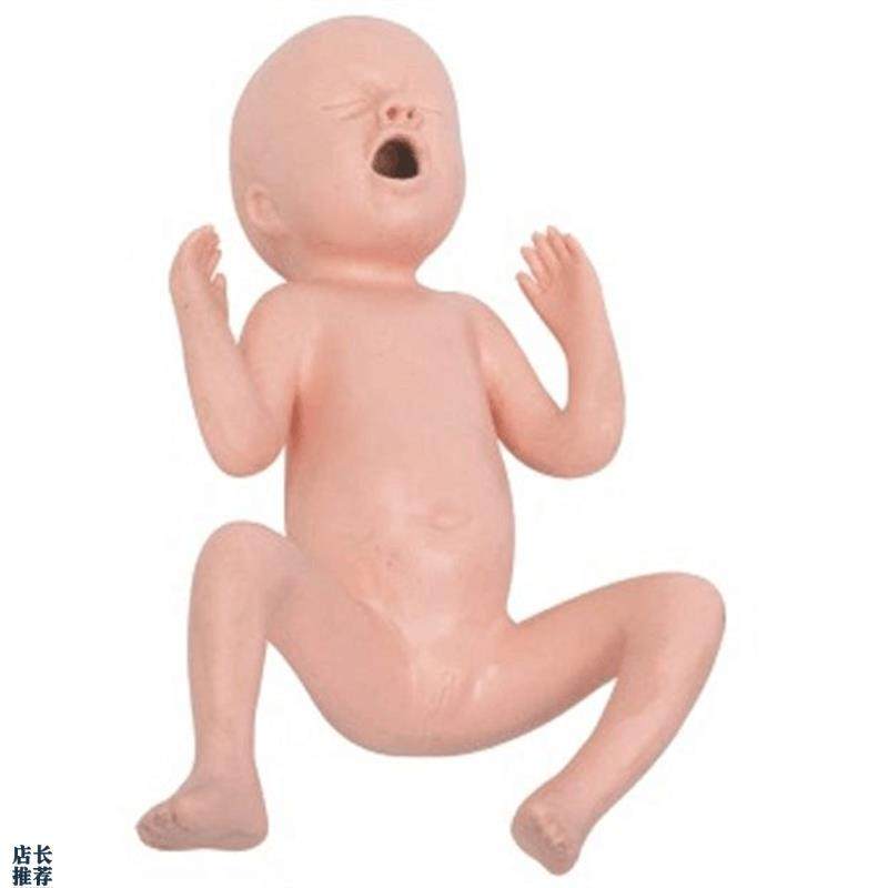 24周早产儿护理模型初生儿早产L儿模型出生婴儿模型