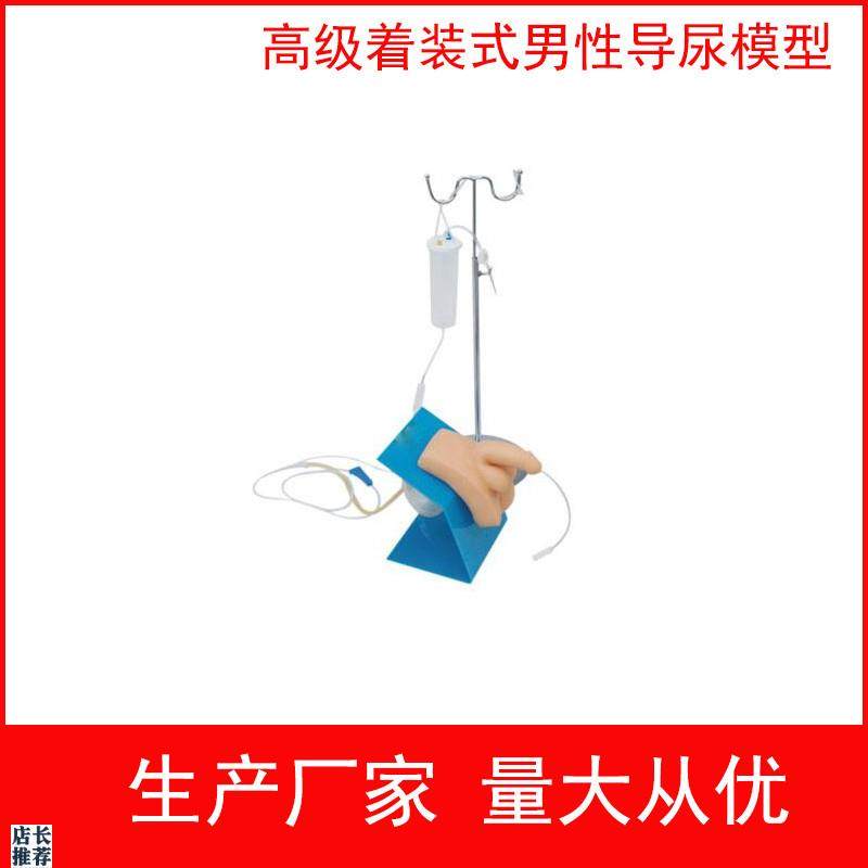 实习护理模型女性导尿模型生殖器教具着装T式男性导尿模型
