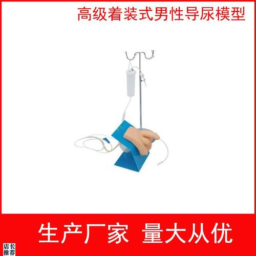 实习护理模型女性导尿模型生殖器教具着装T式男性导尿模型