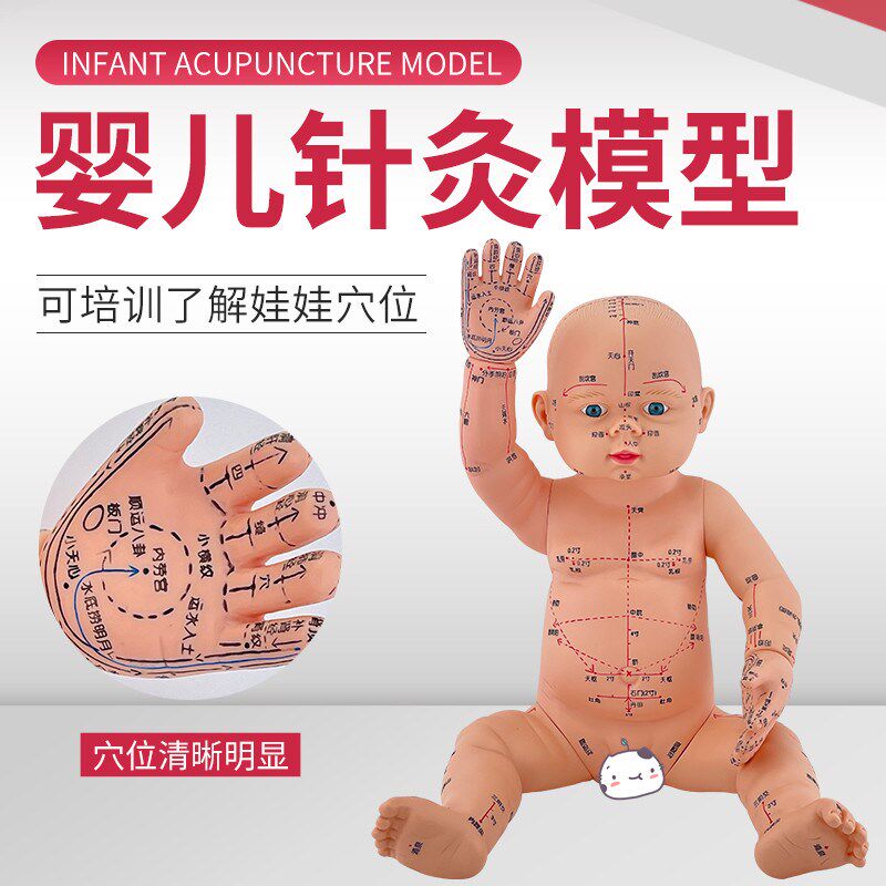 婴儿人体模型儿童娃娃人体模型针C灸中医通用穴位小儿推拿仿真模