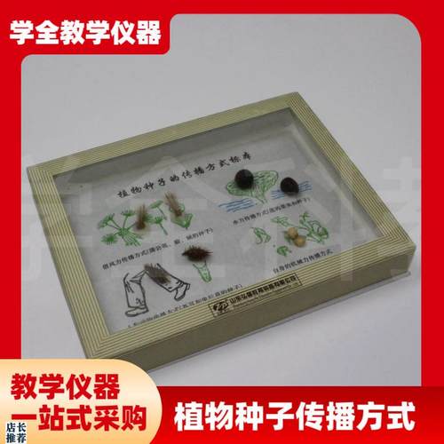 植物种子传播方式标n本小学科学生物实验器材教学仪器教学标本