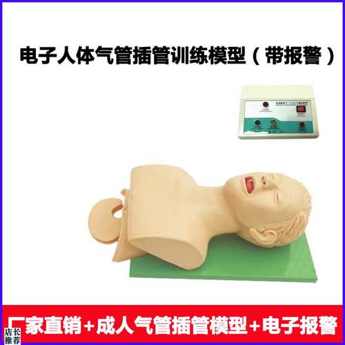 电子人体气管插管训练模型(带牙齿受压报警)口腔鼻腔气Z管插管训