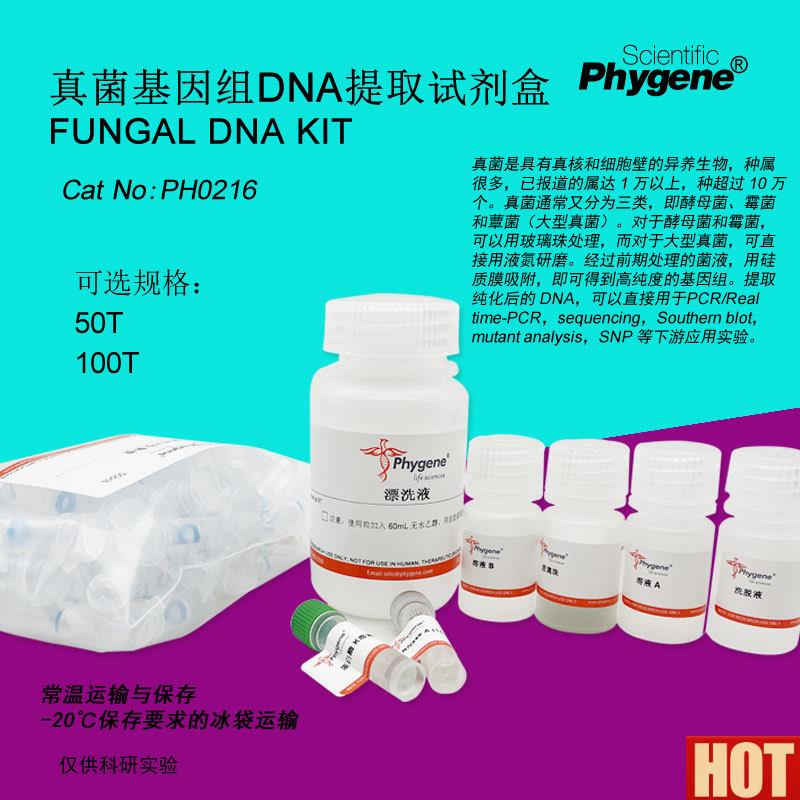 菌基因组DNA提取试剂盒o Fungal DNA KIT 100T [PH0216 PHYGENE]