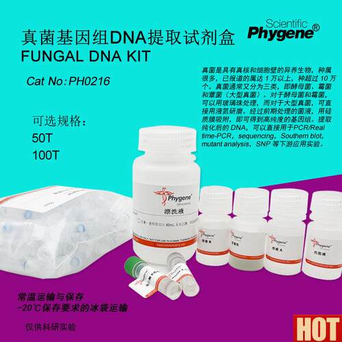 菌基因组DNA提取试剂盒o Fungal DNA KIT 100T [PH0216 PHYGENE]