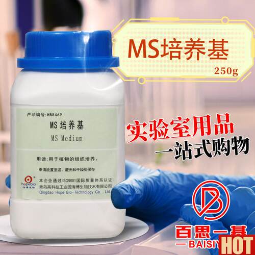 S培养基 1/2MS 1/4MS含不含琼脂和蔗糖o植物组培