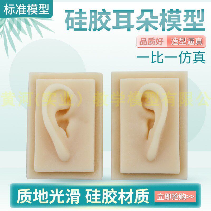 成人一比一 仿真耳朵 耳朵模型  硅胶针灸M耳朵模型 助听展示道具