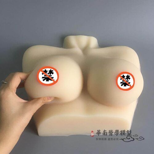 高级医学彷真女性乳房义r乳假乳催乳师培训教具哺乳教学纯矽胶模