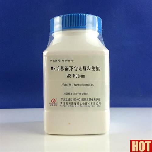 博MS培养基(不含琼脂和蔗糖W)250g HB8469-5  植物组织培养