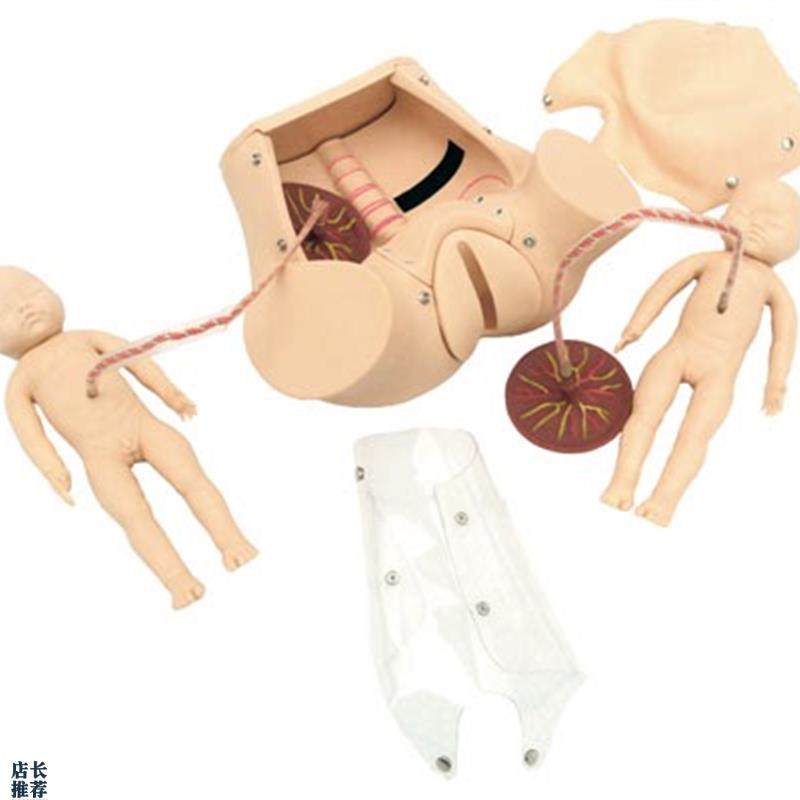 高级分娩综合技能训练模型JY/F20Y佳悦科教通