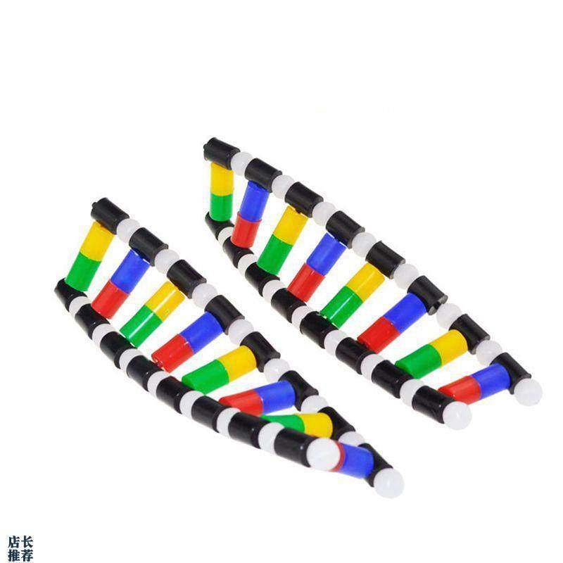 DNA模型脱g氧核糖核酸细胞核中学生物课教学器材医用碱基配对遗传