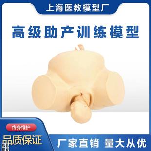 助产训练模型人体模型分娩助产练习模型胎儿U模型妇产科训练