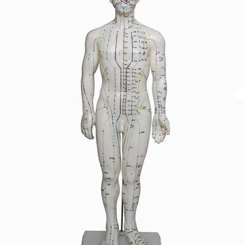 人体针灸模型(男)6w0CM,人体模型,医学模型