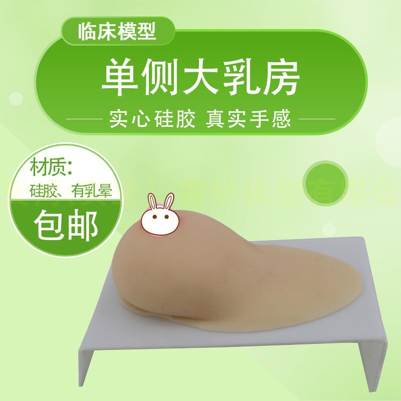 女性乳房模型带乳晕 催乳师培训道具哺乳教学模型硅W胶 育婴师示
