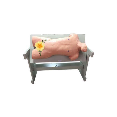 综合穿刺训练模型佳悦H医学模型CK810