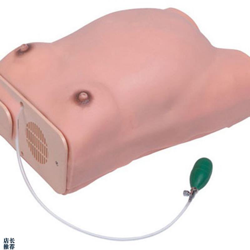 高级孕妇检查模型妇科检查模具T怀孕检查模型