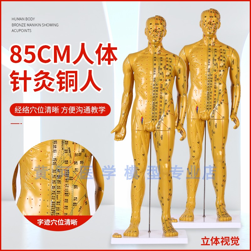 85CM针灸铜人刻字人体穴位模型男女经络N推拿按摩教学高清模型