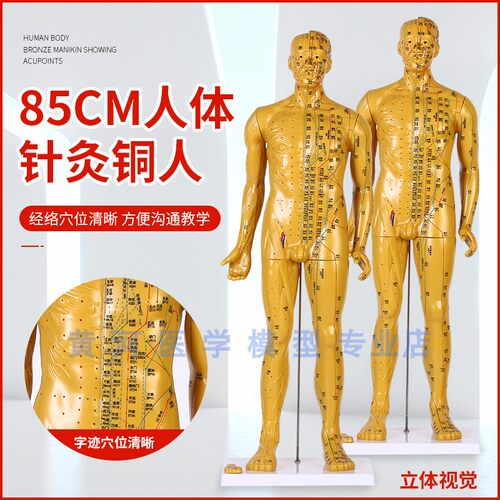 85CM针灸铜人刻字人体穴位模型男女经络N推拿按摩教学高清模型