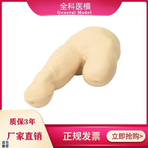 低位包扎模型腿部下肢截肢病人三角巾包裹训练教学假T人体模具LV1