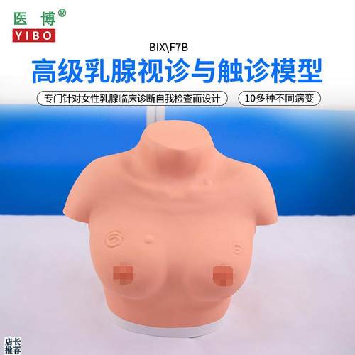 医博BIX-F7B高级乳腺视诊与触诊模型乳房检查模型乳房乳腺病Z变检