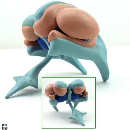 ENOVO颐诺大脑m基底核脑室铸型模型丘脑模型大脑室铸型尾状核上