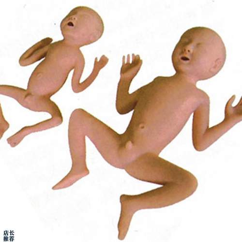 高级24周早产儿模型