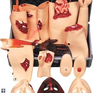 四肢模块 四肢创伤模型 J110 高级创伤评c估模块GD