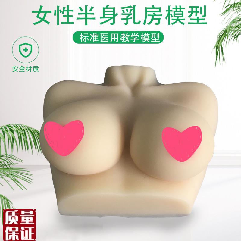 女性乳房模型仿真硅胶催乳师y培训教学教具女性乳房模型人体模