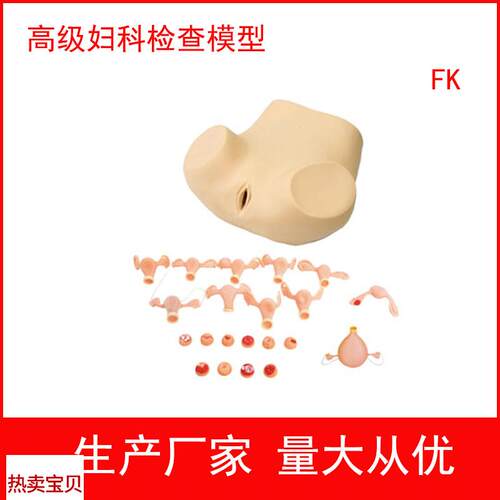 妇科训练模型,妇科检查模型,妇C婴训练模型护理模型妇产科培训用