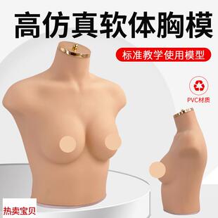 内衣文胸橱窗展示拍摄道具女半身硅胶软体仿真人模特7X5B/C胸模