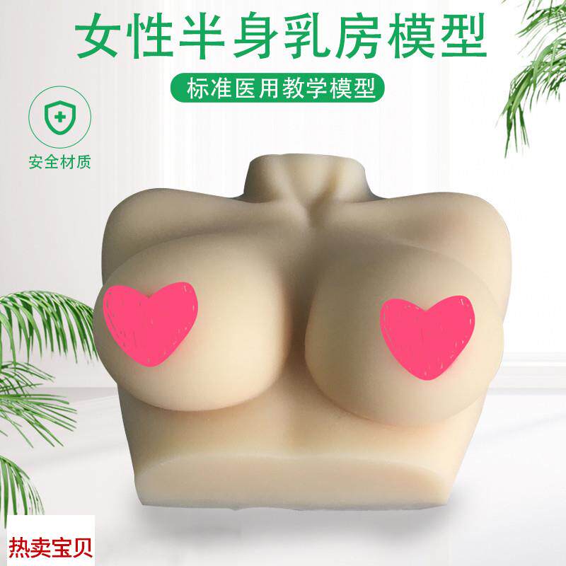 女性乳房模型仿真硅胶催乳师培训教学教具女性乳房X模型人体模型