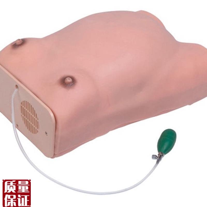 高级孕妇检查h模型孕妇腹部触诊模型孕妇培训练习模