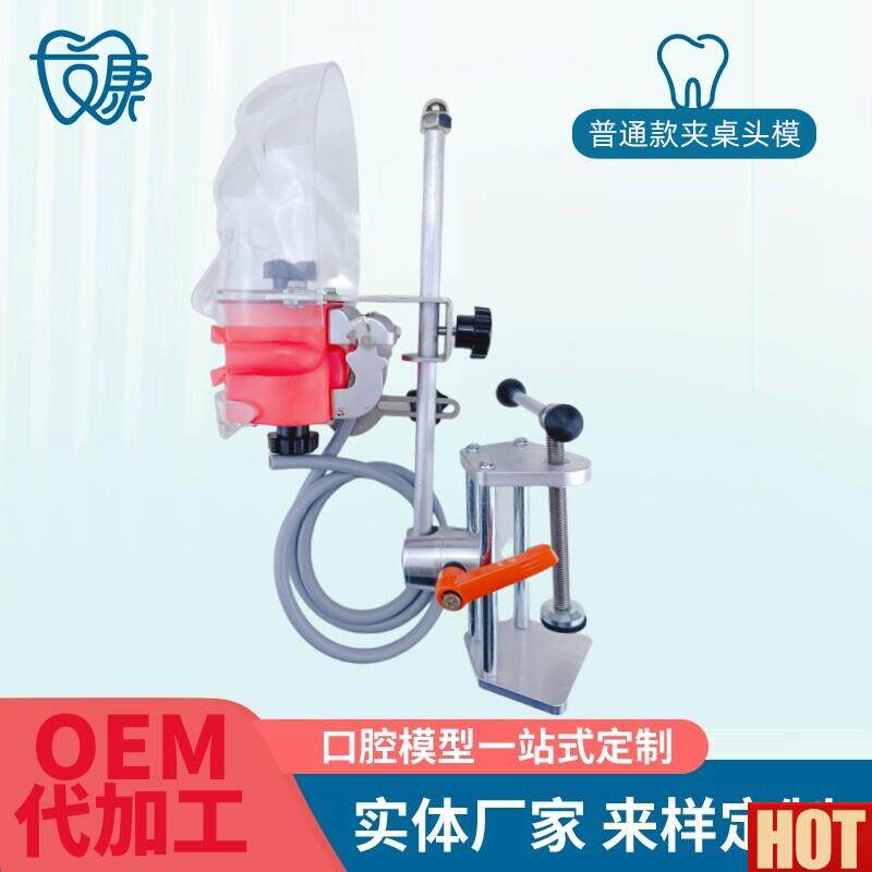 科简易仿真头模树脂可拆卸牙齿备牙正畸修O复仿头模口腔教学模型