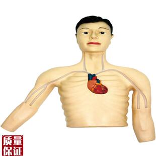 PICC介入模型佳悦医学模型JZY/L69